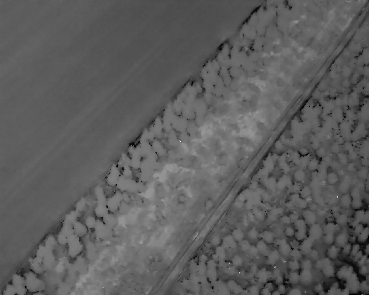 Wildtiersuche Drohne - Thermal